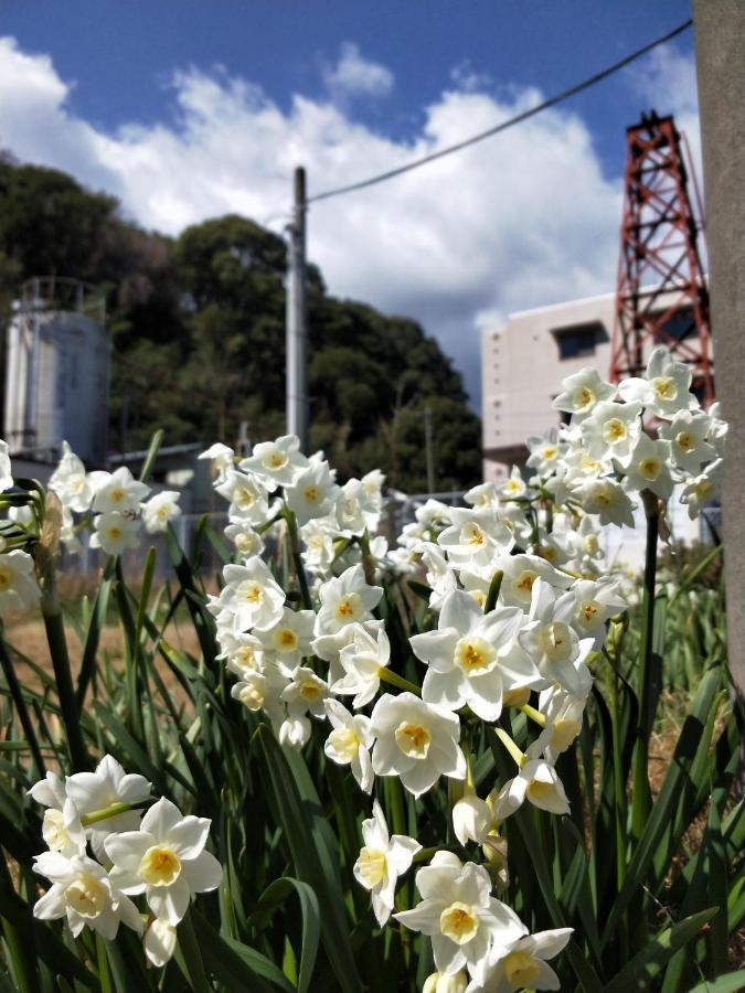 Izu Shirada Villa 伊豆白田家 히가시이즈 외부 사진